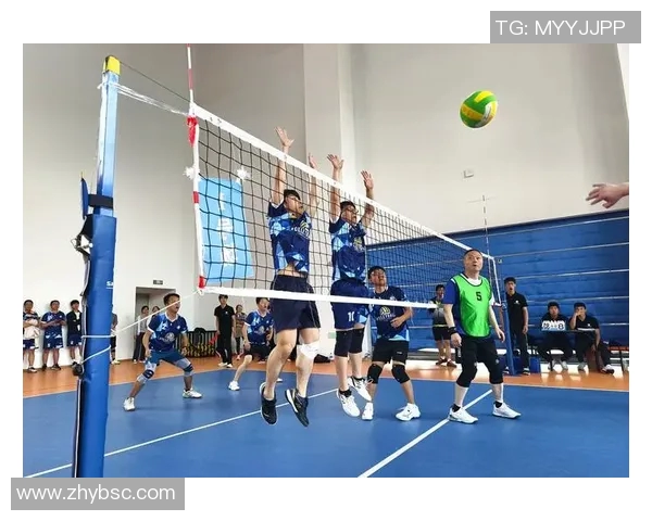 成都排球队比赛经验的变革与热议探讨新视角