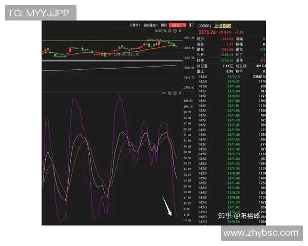 杭州与北京排球队赛后技术分析与战术复盘探讨 杭州与北京排球队赛后技术分析与战术复盘探讨