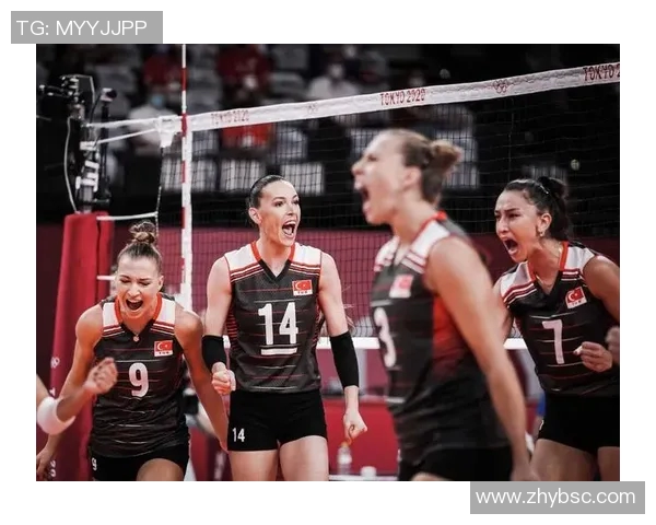 深圳排球队配合引发热议球迷对战术和默契的不同看法