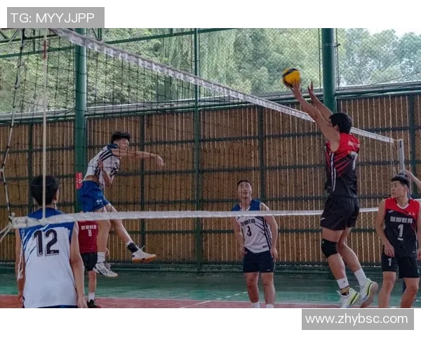 聚焦排球技术探讨成都排球队的训练与战术创新之路 聚焦排球技术探讨成都排球队的训练与战术创新之路